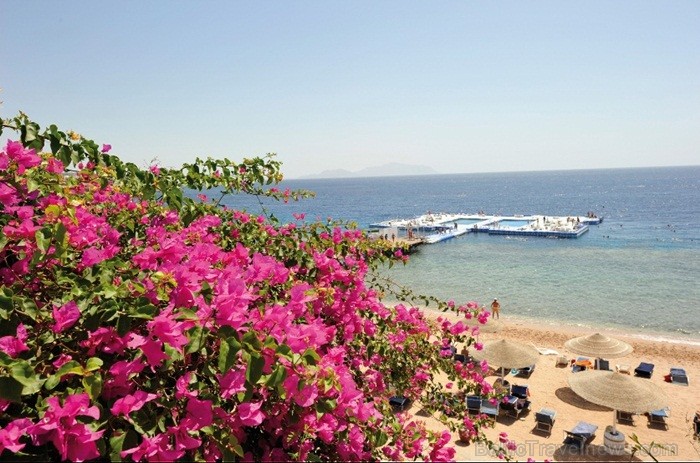 Domina Coral Bay ir viens no pasaules pazīstamākajiem kūrortiem, kas atrodas Sarkanās jūras krastā, Koraļļu līcī. Foto: www.dominacoralbay.com 85660
