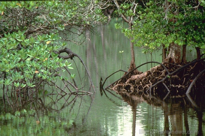 Bruneja ir sultanāts Āzijas dienvidos Borneo salas ziemeļrietumu daļā un šīs valsts galvaspilsēta ir Bandarseribegavana. Foto: www.bruneitourism.trave 85941