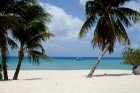 Kaimanu Salas ir vienas no vadošajām niršanas tūristu ceļamērķiem pasaulē, kas atrodas Karību jūras rietumos un ir Lielbritānijas aizjūras teritorija. 34