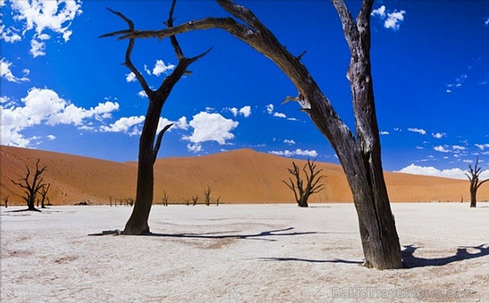 Namībija ietver sevī vārdiem neaprakstāmas dabas ainavas un katrai no tām ir savs raksturs un valdzinājums. Foto: www.namibiatourism.com.na Namībija ietver sevī vārdiem neaprakstāmas dabas ainavas un katrai no tām ir savs raksturs un valdzinājums. Foto: www.namibiatourism.com.na 86766
