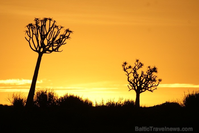 Namībija ietver sevī vārdiem neaprakstāmas dabas ainavas un katrai no tām ir savs raksturs un valdzinājums. Foto: www.namibiatourism.com.na Namībija ietver sevī vārdiem neaprakstāmas dabas ainavas un katrai no tām ir savs raksturs un valdzinājums. Foto: www.namibiatourism.com.na 86786