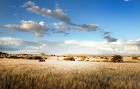 Namībija ietver sevī vārdiem neaprakstāmas dabas ainavas un katrai no tām ir savs raksturs un valdzinājums. Foto: www.namibiatourism.com.na 8