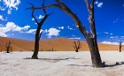 Namībija ietver sevī vārdiem neaprakstāmas dabas ainavas un katrai no tām ir savs raksturs un valdzinājums. Foto: www.namibiatourism.com.na 15