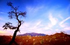 Namībija ietver sevī vārdiem neaprakstāmas dabas ainavas un katrai no tām ir savs raksturs un valdzinājums. Foto: www.namibiatourism.com.na 25