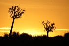 Namībija ietver sevī vārdiem neaprakstāmas dabas ainavas un katrai no tām ir savs raksturs un valdzinājums. Foto: www.namibiatourism.com.na 35