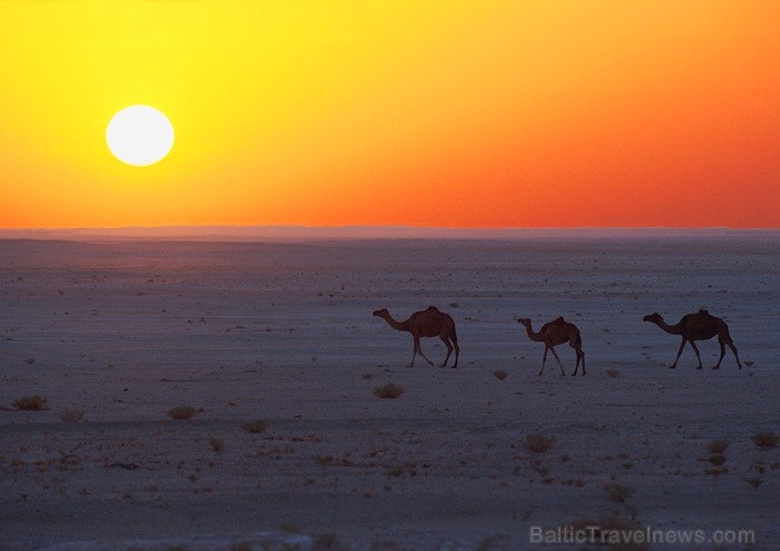 Omānas Sultanāts tiek dēvēts par vienu no tradicionālākajām un skaistākajām arābu zemēm. Foto: Oman Ministry of Tourism 86807
