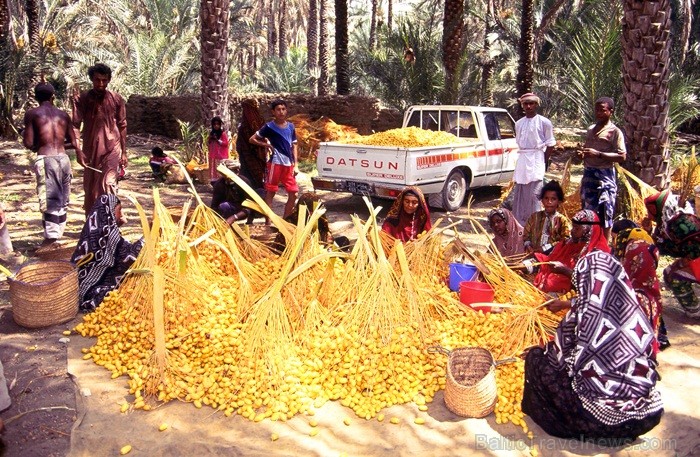 Omānas Sultanāts tiek dēvēts par vienu no tradicionālākajām un skaistākajām arābu zemēm. Foto: Oman Ministry of Tourism Omānas Sultanāts tiek dēvēts par vienu no tradicionālākajām un skaistākajām arābu zemēm. Foto: Oman Ministry of Tourism 86814