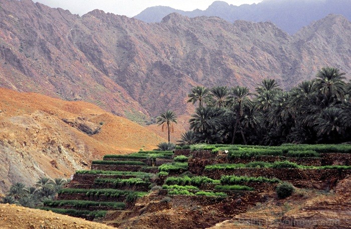 Omānas Sultanāts tiek dēvēts par vienu no tradicionālākajām un skaistākajām arābu zemēm. Foto: Oman Ministry of Tourism 86815