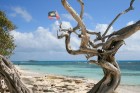 Antigva un Barbuda ir saulaina valsts Karību jūrā un valsts teritorijā ir trīs salas - Antigva, Barbuda un neapdzīvotā Redonda. Foto: Antigua & Barbud 22