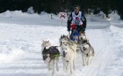 Slovākijas Tatru kalnos iespējams baudīt ziemas priekus līdz pat marta beigām. Ziemas aktivitātes šajā reģionā var būt gan kalnu slēpošana, gan snovbo 10