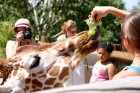 Par atsevišķu samaksu žirafes ir iespējams arī pabarot. www.colorado.com 2