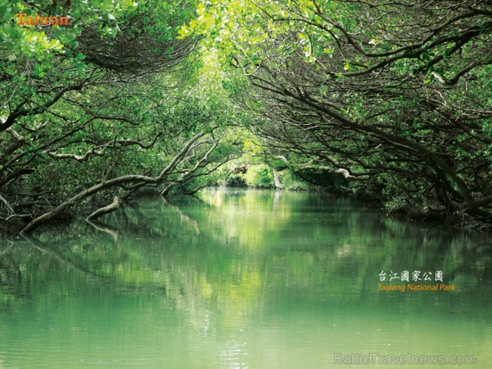 Taijiang nacionālais parks izveidots 2009. gadā. Foto: www.taiwan.net.tw 88979