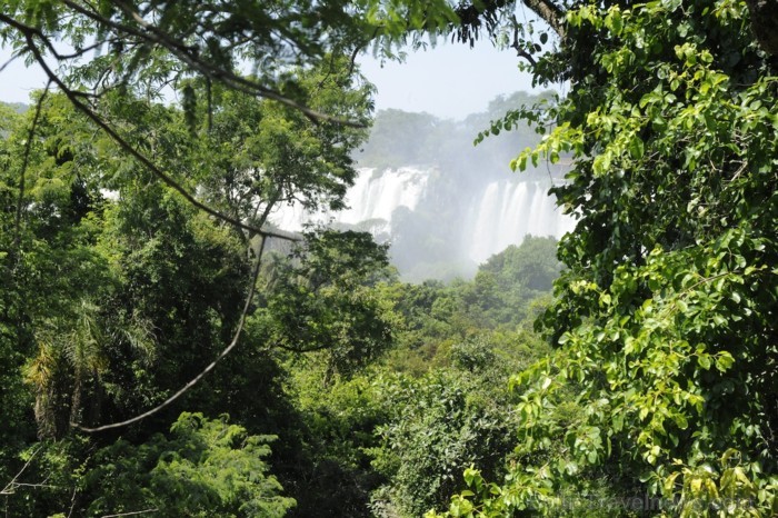 Skats uz platāko Iguazu ūdenskrituma punktu Argentīnas pusē - www.traveltime.lv 89355