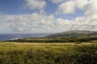 Skats no Orongo vulkāna uz dienvidrietumu krastu, kur atrodas vienīgā pilsēta uz salas Hanga Roa - www.traveltime.lv 14