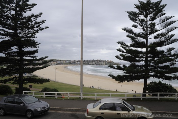 Bondi pludmale ir tuvākā sērfošanas vieta pie Sidnejas. Uz turieni nokļuvām ar speciālu tūristu maršruta transportu - www.traveltime.lv Bondi pludmale ir tuvākā sērfošanas vieta pie Sidnejas. Uz turieni nokļuvām ar speciālu tūristu maršruta transportu - www.traveltime.lv 89567