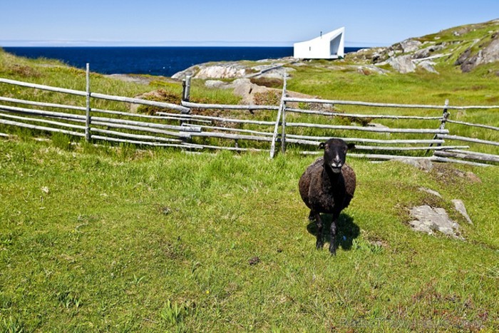 Fogo un Change salas Kanādā. Salas tiek sauktas par vienu no četriem pasaules stūriem. Foto: www.newfoundlandlabrador.com Fogo un Change salas Kanādā. Salas tiek sauktas par vienu no četriem pasaules stūriem. Foto: www.newfoundlandlabrador.com 89621