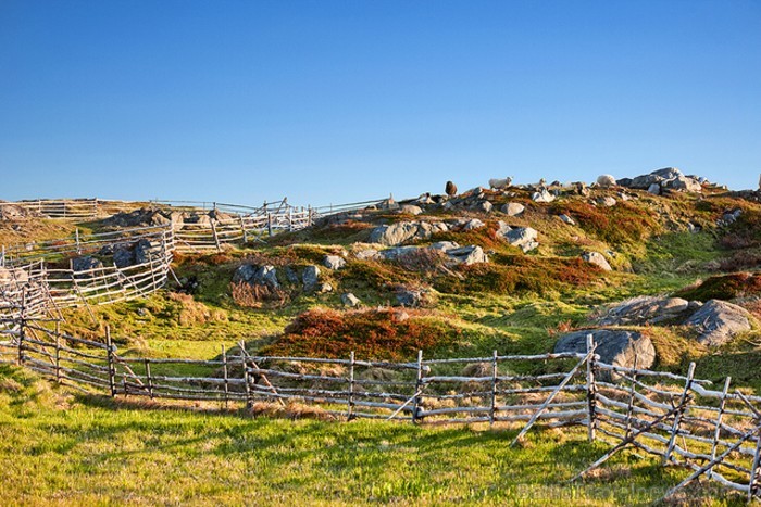 Fogo un Change salas Kanādā. Salas tiek sauktas par vienu no četriem pasaules stūriem. Foto: www.newfoundlandlabrador.com Fogo un Change salas Kanādā. Salas tiek sauktas par vienu no četriem pasaules stūriem. Foto: www.newfoundlandlabrador.com 89647