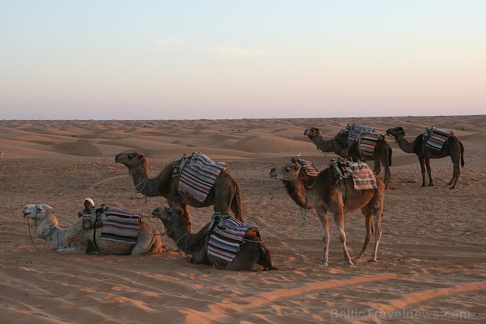 Dodies ar kamieli iepazīt Sahāras saullēktu Tunisijā. Vairāk informācijas par Tunisiju kā tūrisma galamērķi www.tourisme.gov.tn 90028