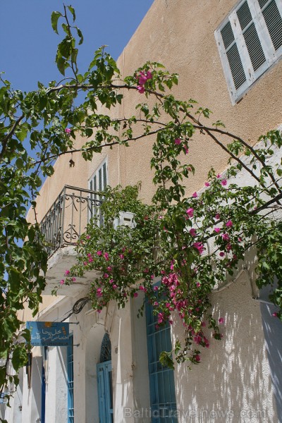 Iepazīsti vienu no labākajiem Tunisijas kūrortiem – Džerbas salu www.tourisme.gov.tn 90083
