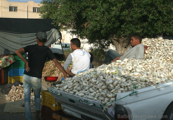 Iepazīsti vienu no labākajiem Tunisijas kūrortiem – Džerbas salu www.tourisme.gov.tn 90116