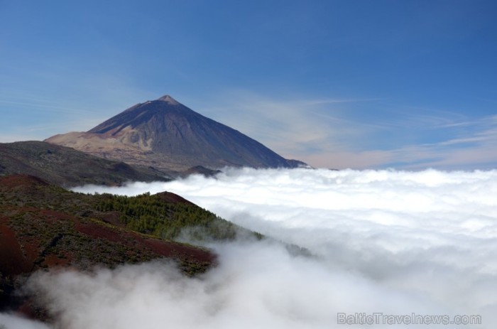 Teide paliek, sarausta augstāk pūkaino, mīksto, koši balto mākoņu segu ap savām zaļajām Teide paliek, sarausta augstāk pūkaino, mīksto, koši balto mākoņu segu ap savām zaļajām