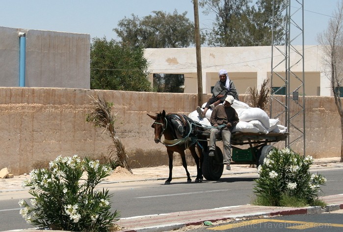 Douz – ir tipisks Tunisijas ciemats tuksnesī: tirdziņos šeit var nopirkt berberu rotaslietas un kamieļu ādas izstrādājumus, iedzīvotāji audzina vēja s 90290