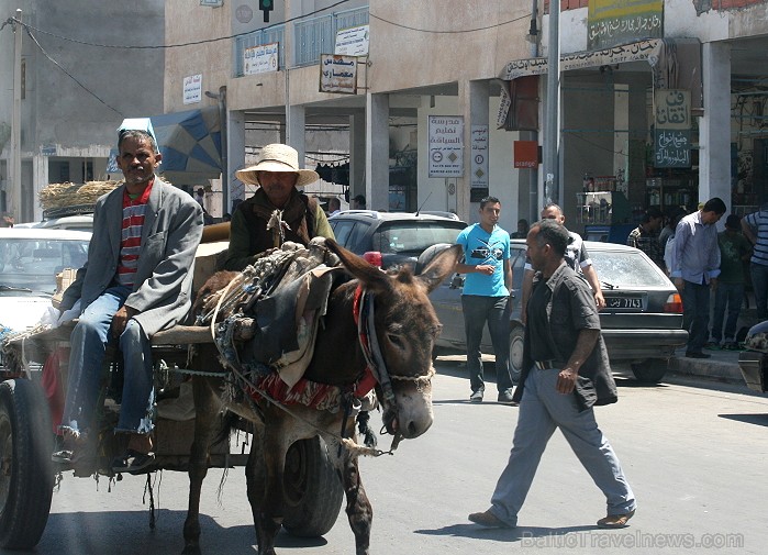 Medenina ir Tunisijas pilsēta, uz kuru ceļotāji dodas brīnumaino panorāmu meklējumos. Te var atrast berberu un romiešu kultūru pieminekļus. Šodien ied 90333