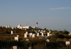 Mahdija ir neliela Tunisijas pilsēta, kura atrodas valsts dienvidu piekraste. Mahdija ir klasisks Tunisijas kūrorts ar daudziem zivju restorāniem, bal 18