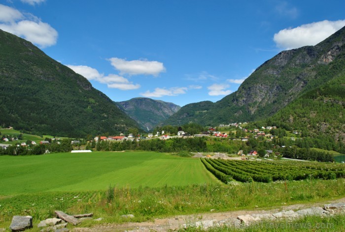 Sognefjords ir pats garākais fjords pasaulē un tiek saukts par fjordu karali. Tas ir 219 kilometru garš, sešus kilometrus plats un līdz pat 1308 metru 90852
