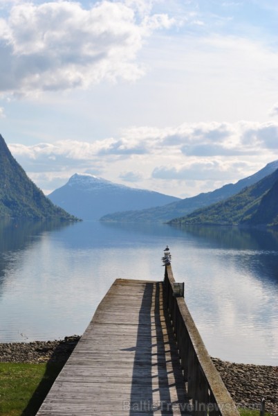 Sognefjords ir pats garākais fjords pasaulē un tiek saukts par fjordu karali. Tas ir 219 kilometru garš, sešus kilometrus plats un līdz pat 1308 metru 90874