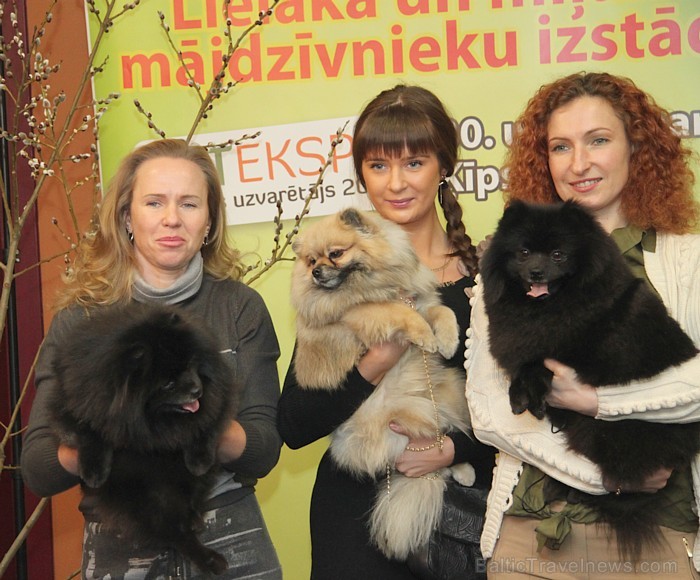 Tuvojas starptautiskajā mājdzīvnieku un zooindustrijas izstādē «Pet Ekspo» 30.03.-31.03.2013 - www.bt1.lv Tuvojas starptautiskajā mājdzīvnieku un zooindustrijas izstādē «Pet Ekspo» 30.03.-31.03.2013 - www.bt1.lv 90895