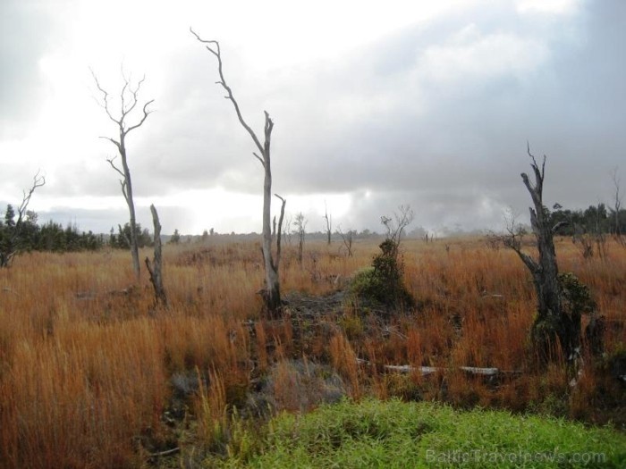 Savdabīgi, bet skaisti. Foto: www.lidojumi.lv 91499