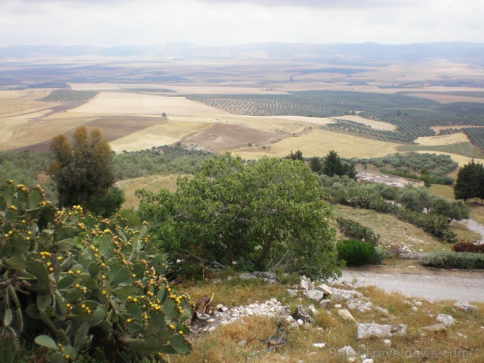 Tunisijas ainava pa ceļam uz Dugu (Dougga) 91630