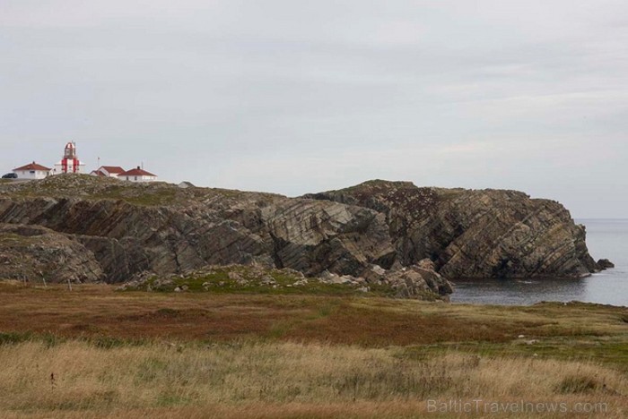 Bonavista ir neliela pilsētiņa (4.000 iedzīvotāju) Bonavistas pussalā Ņūfaundlendā un Labradorā, kas sniegs vēl nebijušus iespaidus katram ceļotājam w Bonavista ir neliela pilsētiņa (4.000 iedzīvotāju) Bonavistas pussalā Ņūfaundlendā un Labradorā, kas sniegs vēl nebijušus iespaidus katram ceļotājam w 92172