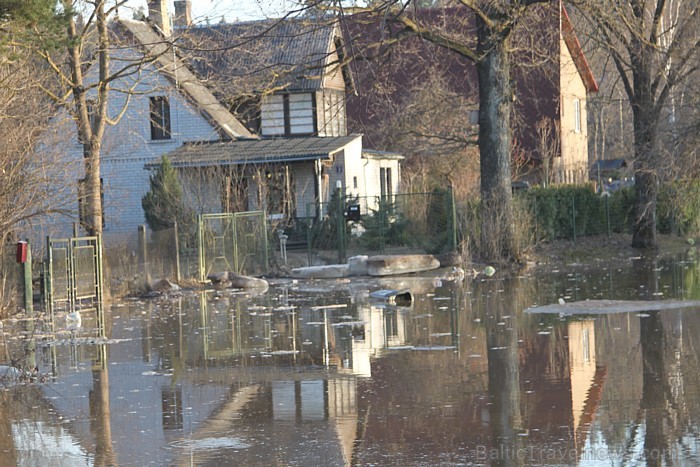 Ogres upes plūdi piesaista daudzus ziņkārīgos un Ogres viesus - wwwLatvijasCentrs.lv 92240