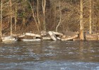 Ogres upes plūdi piesaista daudzus ziņkārīgos un Ogres viesus - wwwLatvijasCentrs.lv 6