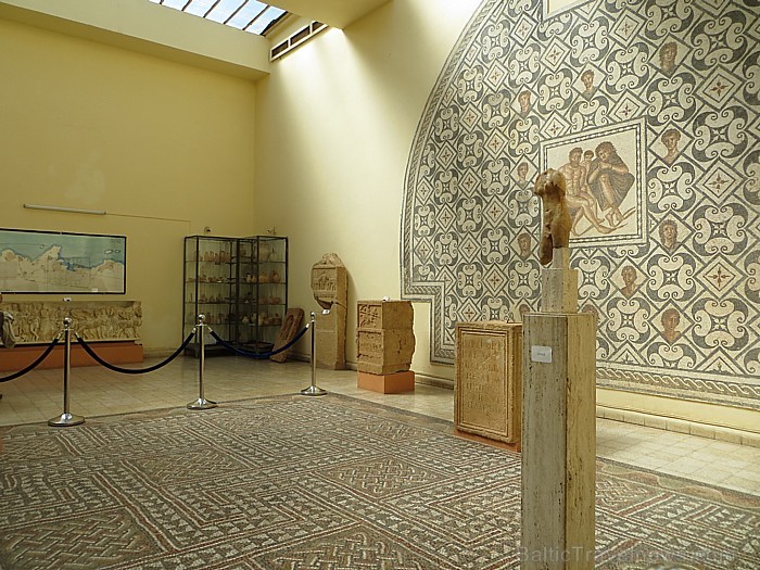 Tipazas muzejā atrodas vērtīgi atradumi no romiešu laikiem, tai skaitā arī dažādas mozaīkas 93333