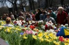 04.05.2013 pie Brīvības pieminekļa notiek Latvijas veidošana no ziediem. Ziedu Latvija pieminekļa pakājē skatāma līdz 06.05.2013 pulksten 21:00. 19