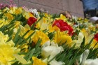 04.05.2013 pie Brīvības pieminekļa notiek Latvijas veidošana no ziediem. Ziedu Latvija pieminekļa pakājē skatāma līdz 06.05.2013 pulksten 21:00. 22