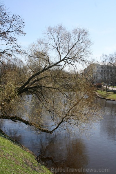Rīgas parki ar plaukstošām lapām, čalojošās strūklakas un apstādījumi ar košiem ziediem sāk priecēt gan pilsētas iedzīvotājus, gan viesus. Rīgas parki ar plaukstošām lapām, čalojošās strūklakas un apstādījumi ar košiem ziediem sāk priecēt gan pilsētas iedzīvotājus, gan viesus. 93781