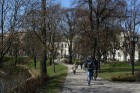 Rīgas parki ar plaukstošām lapām, čalojošās strūklakas un apstādījumi ar košiem ziediem sāk priecēt gan pilsētas iedzīvotājus, gan viesus. 3