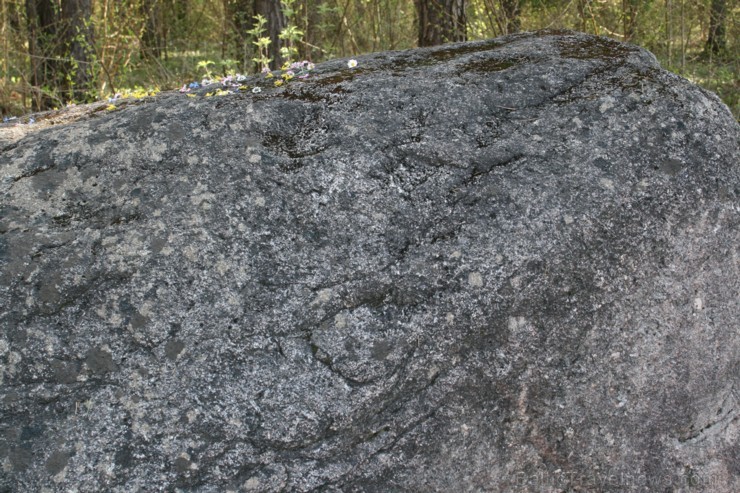 Pļaviņu Pētera akmens atrodas Pļaviņu novada Klintaines pagastā, no Rīgas - Daugavpils šosejas 1,5 km pirms Pļaviņām un 100 m pirms Stabulnieku mājām, 94382