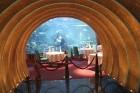 Travelnews.lv apmeklē pasaules populāro luksus viesnīcu Burj Al Arab, kas atrodas Dubaijā. Foto sponsors: www.GoAdventure.lv 22