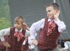 Tautas deju festivāls «Latvju bērni danci veda» Krāslavā 2013 ar lielkocenta «Pār Daugavu saulei roku deva» programmu. Foto sponsors: www.visitkraslav 33