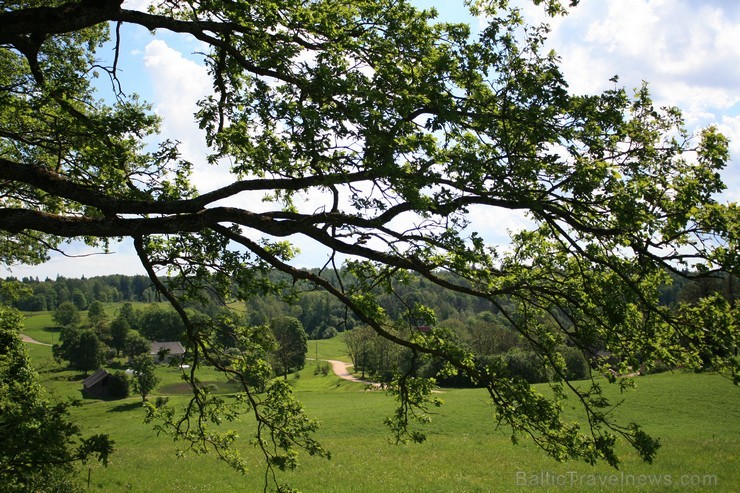 Vanagkalns - sens upurkalns. Mūsdienās Vanagkalnā ir uzturētas dzīvas senču tradīcijas, svinot tur tradicionālos gadskārtu svētkus - Mārtiņus, Miķeļus Vanagkalns - sens upurkalns. Mūsdienās Vanagkalnā ir uzturētas dzīvas senču tradīcijas, svinot tur tradicionālos gadskārtu svētkus - Mārtiņus, Miķeļus 95259
