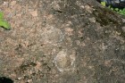 Tipisks senais kulta akmens - bedrīšakmens, kas atrodas savā sākotnējā vietā, kur gulējis jau gadu tūkstošiem. Interesanti, ka akmeņa bedrīšu pielieto 6