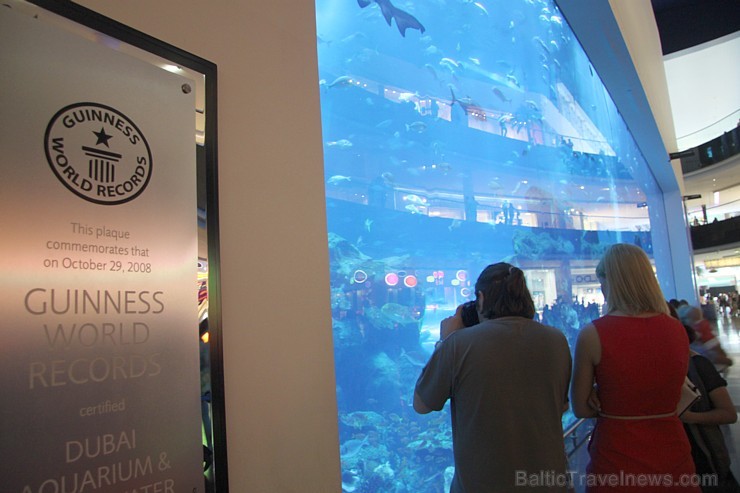 Travelnews.lv redakcija apmeklē pasaules lielāko iepirkšanās centru Dubai Mall, kur izvietojies milzīgs akvārijs. Foto sponsors: www.goadventure.lv 95419