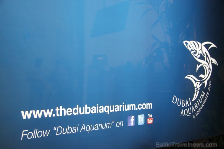 Dubaijas akvārijs - www.thedubaiaquarium.com 95442