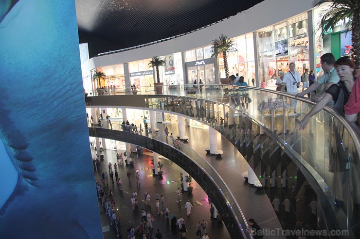 Travelnews.lv redakcija apmeklē pasaules lielāko iepirkšanās centru Dubai Mall, kur izvietojies milzīgs akvārijs. Foto sponsors: www.goadventure.lv 95443