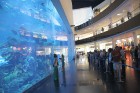 Dubaijas akvārijs atrodas pasaules lielākajā iepirkšanās centrā Dubai Mall - www.thedubaiaquarium.com 2